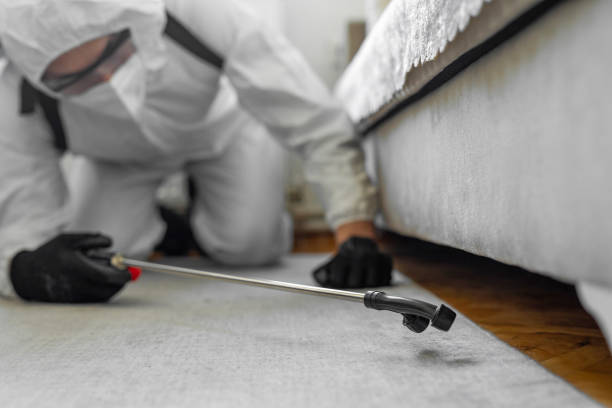 Professional Cockroach Control technician working in Rhinelander, WI