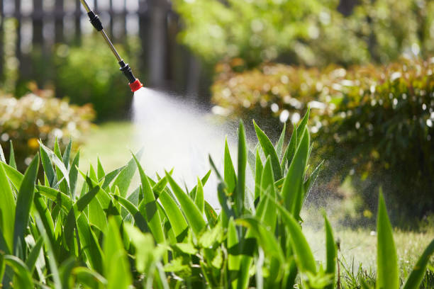 24/7 Emergency Cockroach Control experts in Rhinelander, WI