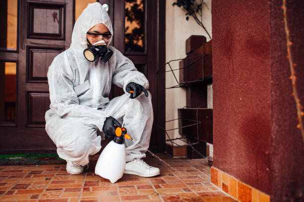 Reliable Cockroach Control contractor in Rhinelander, WI by Nex Pest Control