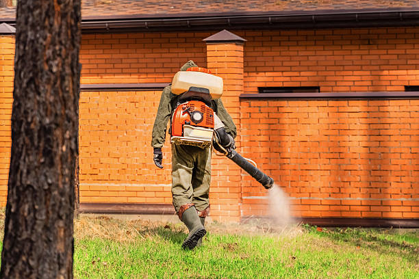 Trusted Bed Bug Control service in Rhinelander, WI - Nex Pest Control